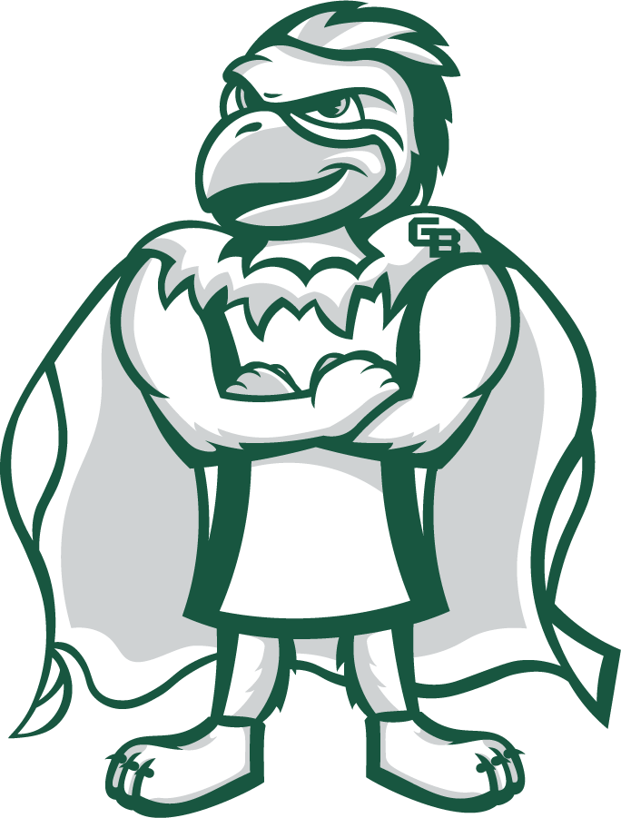 Wisconsin-Green Bay Phoenix 2020-Pres Mascot Logo v4 iron on transfers for clothing